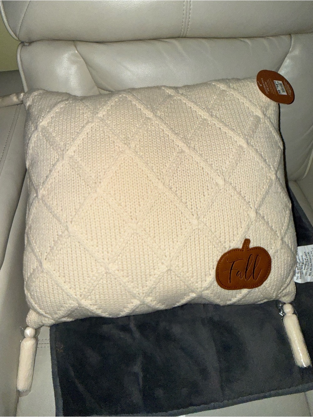 Cozy Cream Knit Throw Pillow with 'Fall' Accent